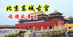 女上司的奶子中国北京-东城古宫旅游风景区